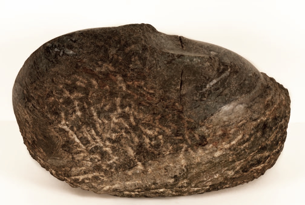 Head, 1969      